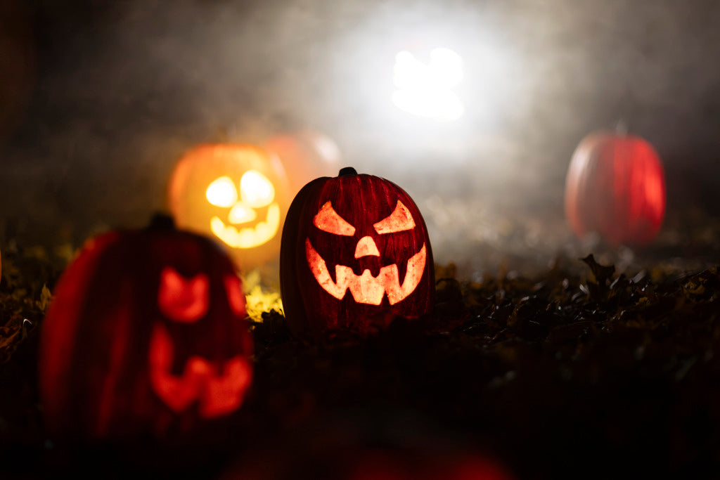 Harvest Nights Collection