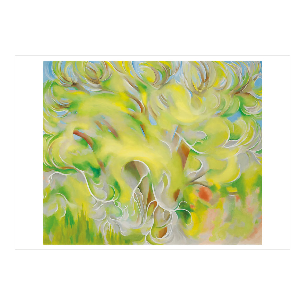 Georgia O’Keeffe: Trees Boxed Notecards