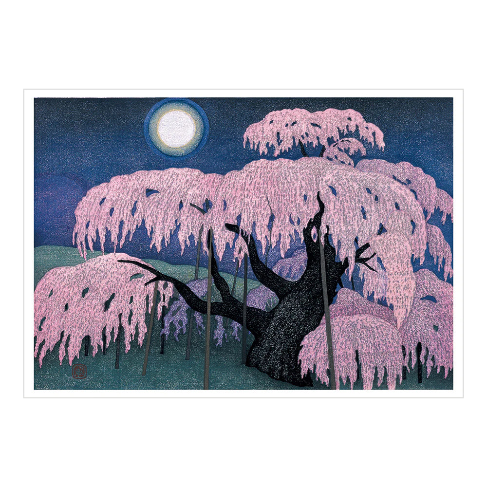 Kazuyuki Ohtsu: Cherry Trees Boxed Notecards
