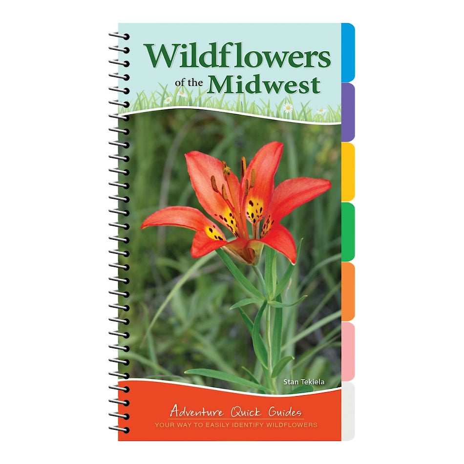Wildflowers of the Midwest