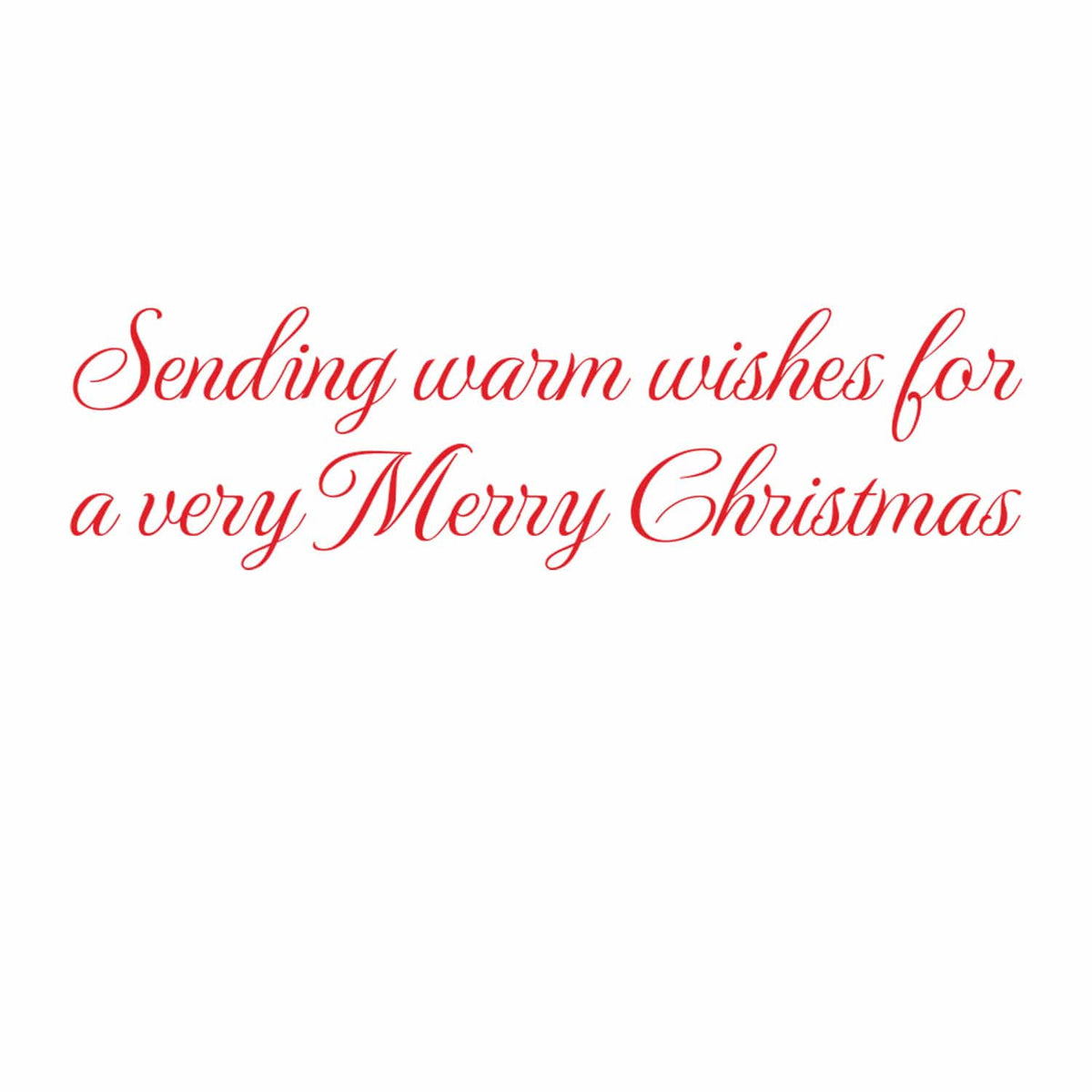 Potted Christmas Trees Boxed Holiday Cards