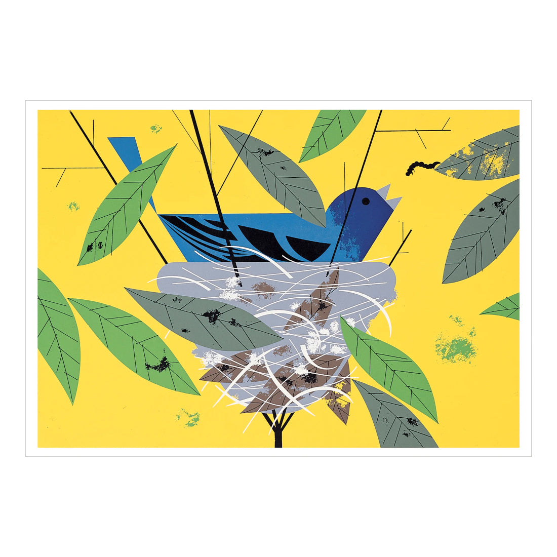 Charley Harper 'Nesting Instinct' Boxed Notecards