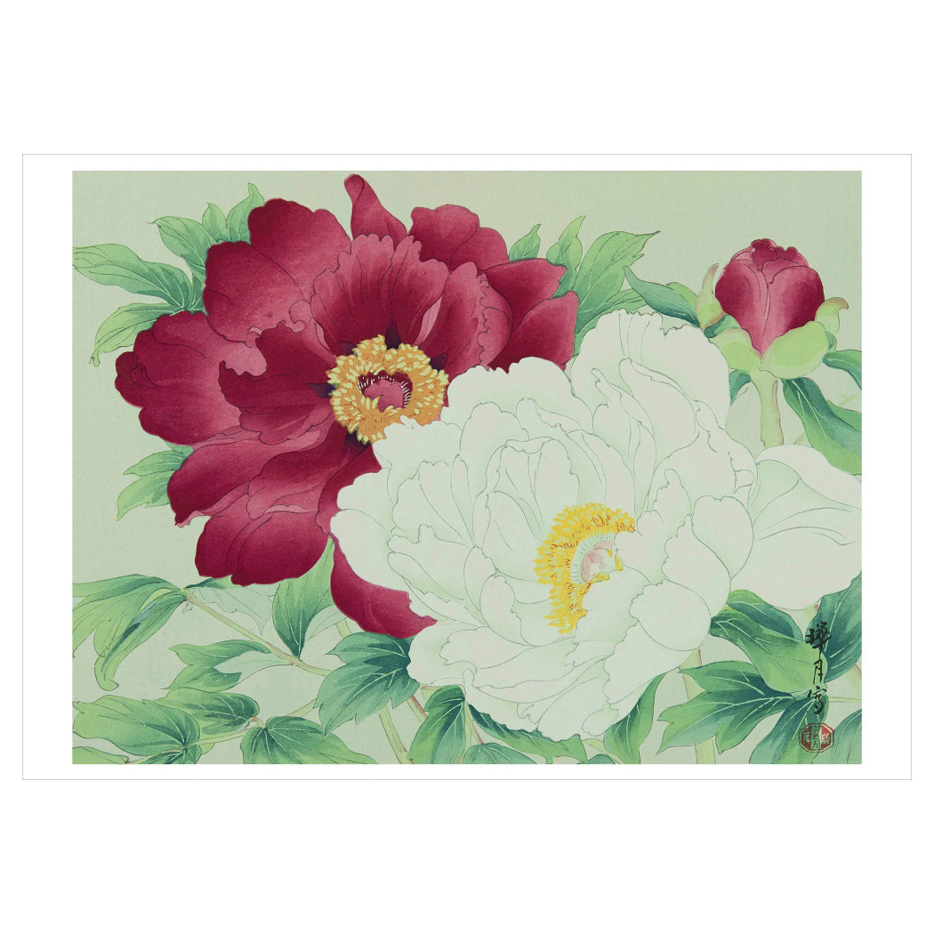 Haiku: Japanese Art and Poetry Boxed Notecards