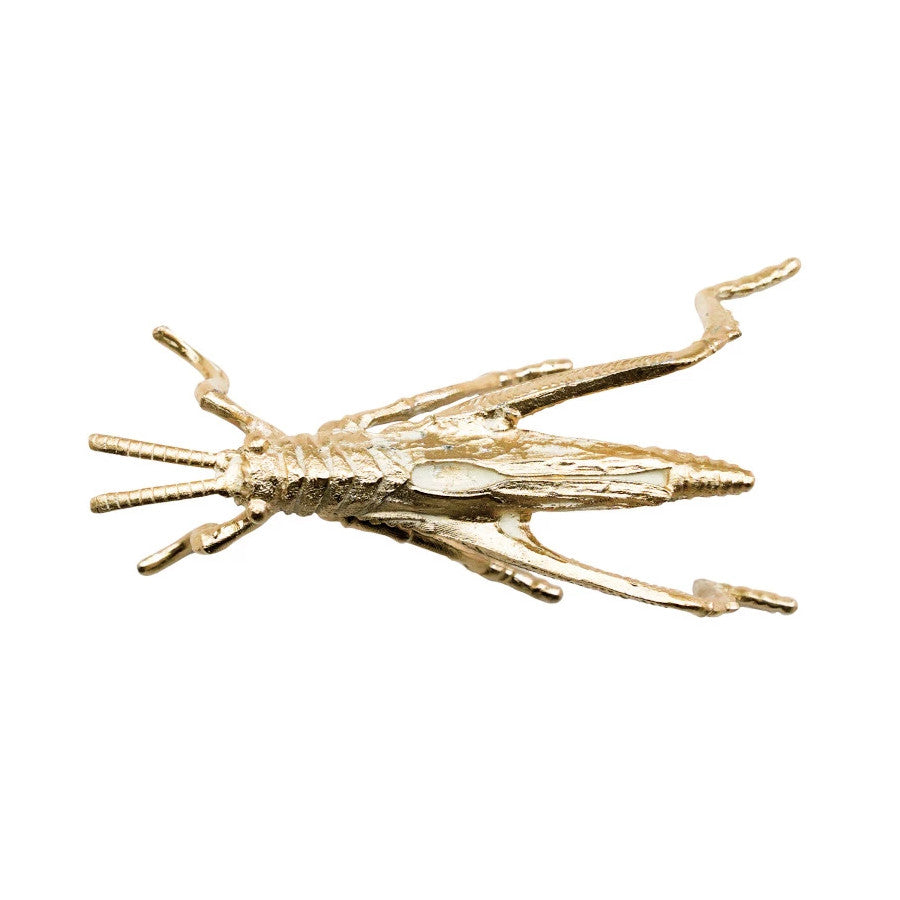 Gold Grasshopper