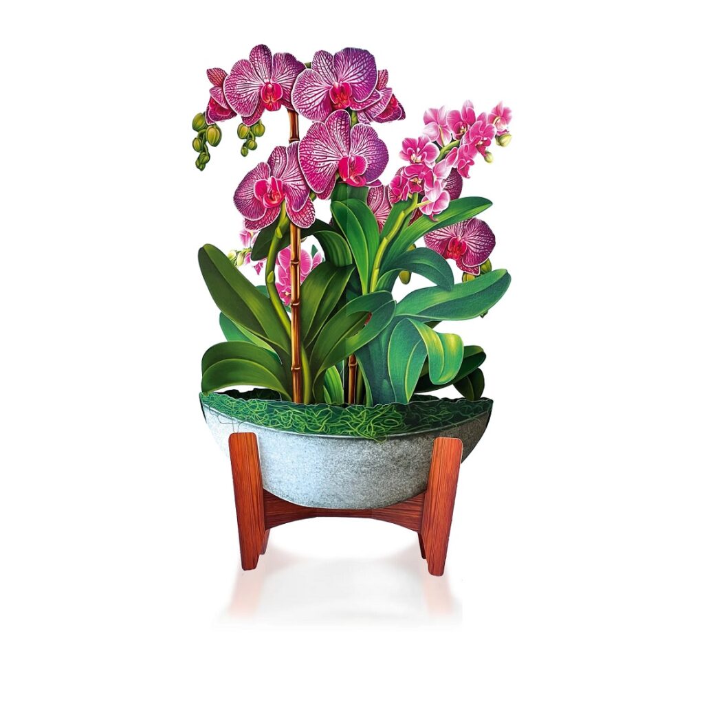 Orchids Large Pop-Up Greeting Card