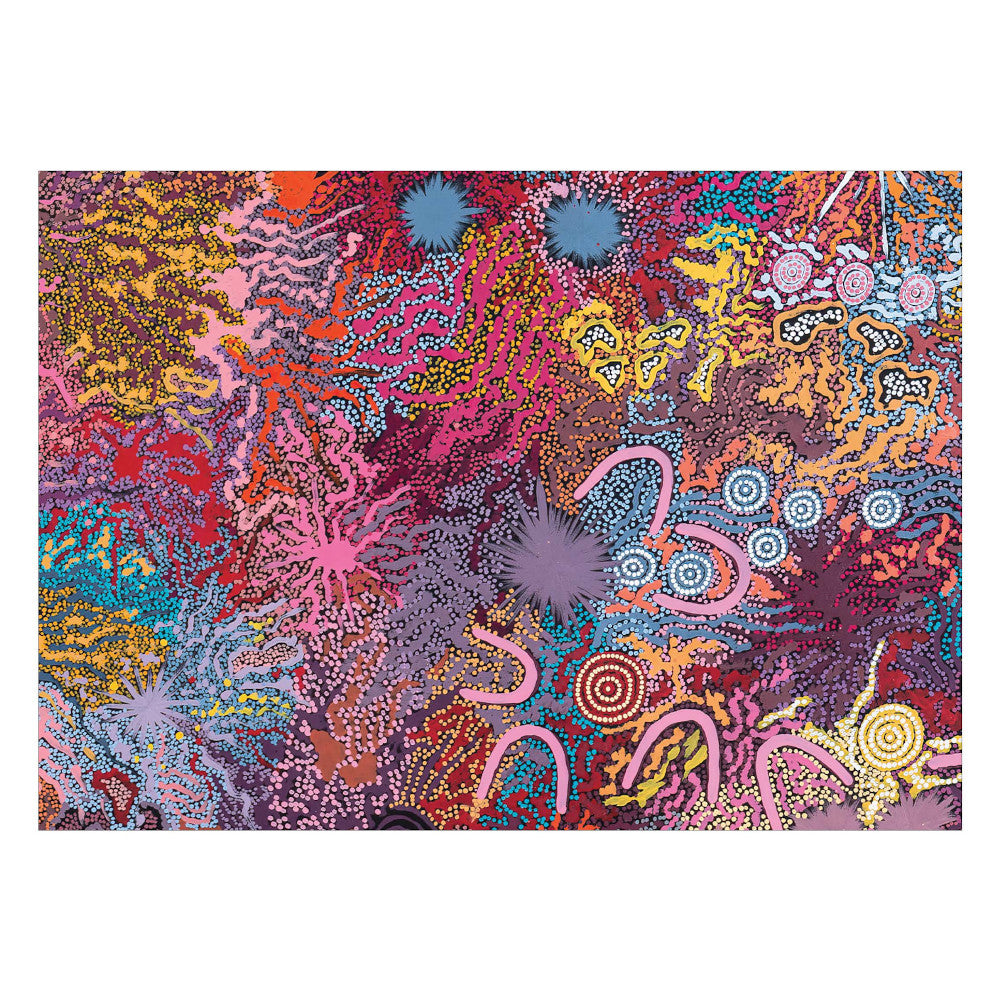 Gabriella Possum Nungurrayi Postcard Set