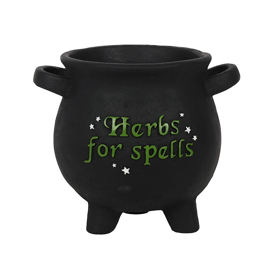 Herbs for Spells Cauldron Planter