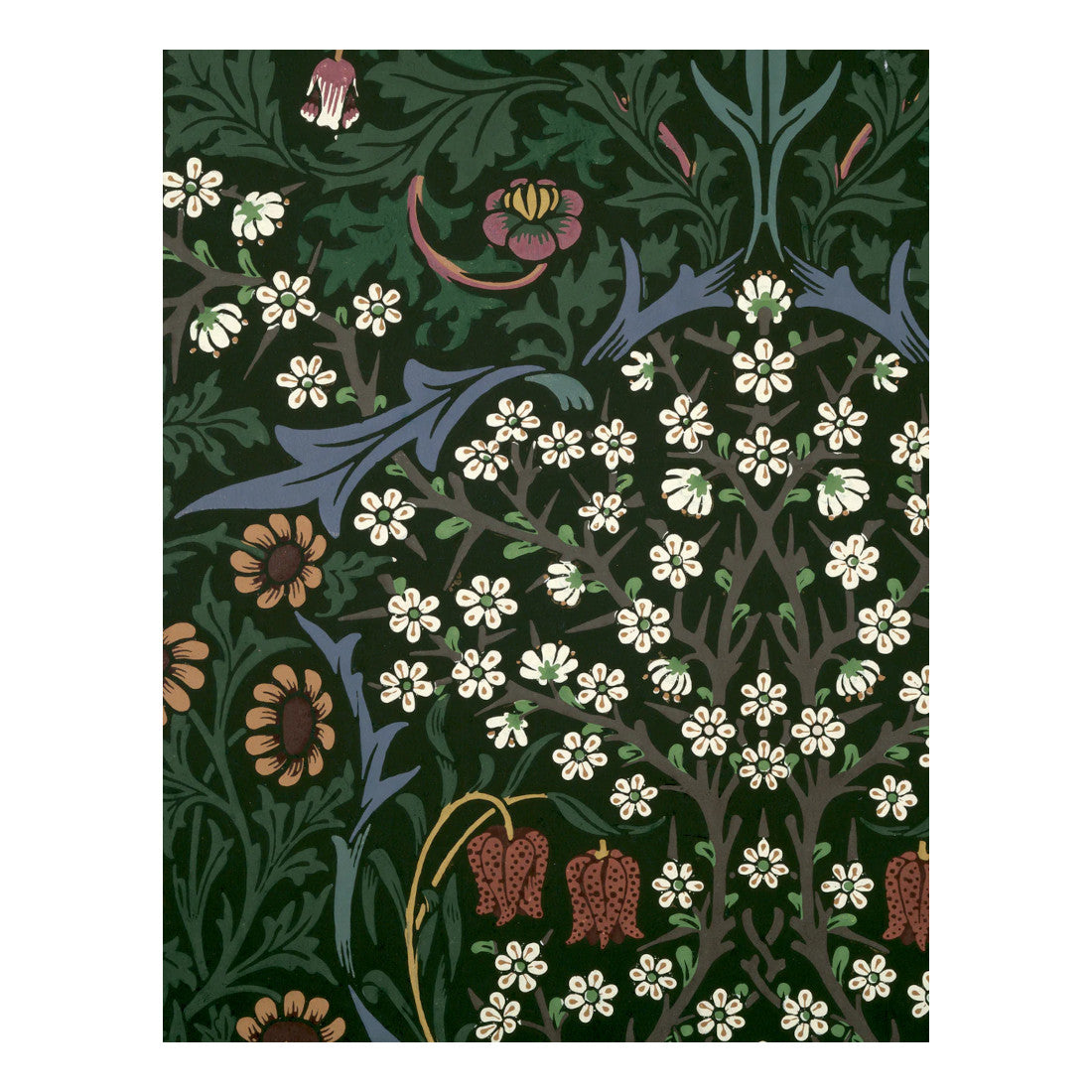 William Morris Keepsake Boxed Notecards