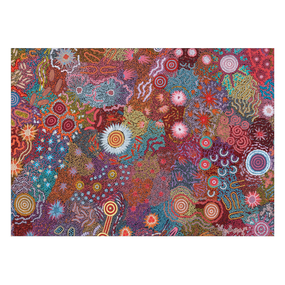 Michelle Possum Nungurrayi Postcard Set