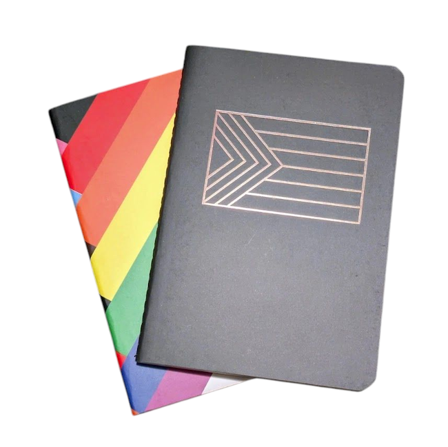 Daniel Quasar Progress Notebook Set with Sticker Sheets