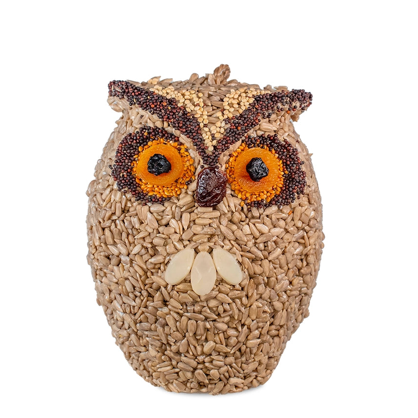 Whoo-Lio Owl Bird Feeder