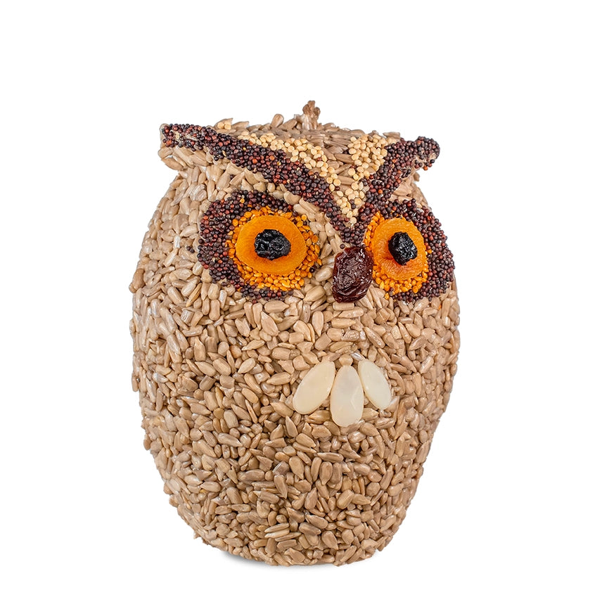 Whoo-Lio Owl Bird Feeder