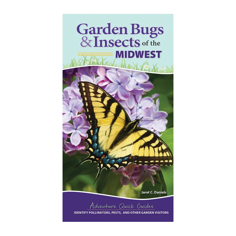 Garden Bugs & Insects of the Midwest