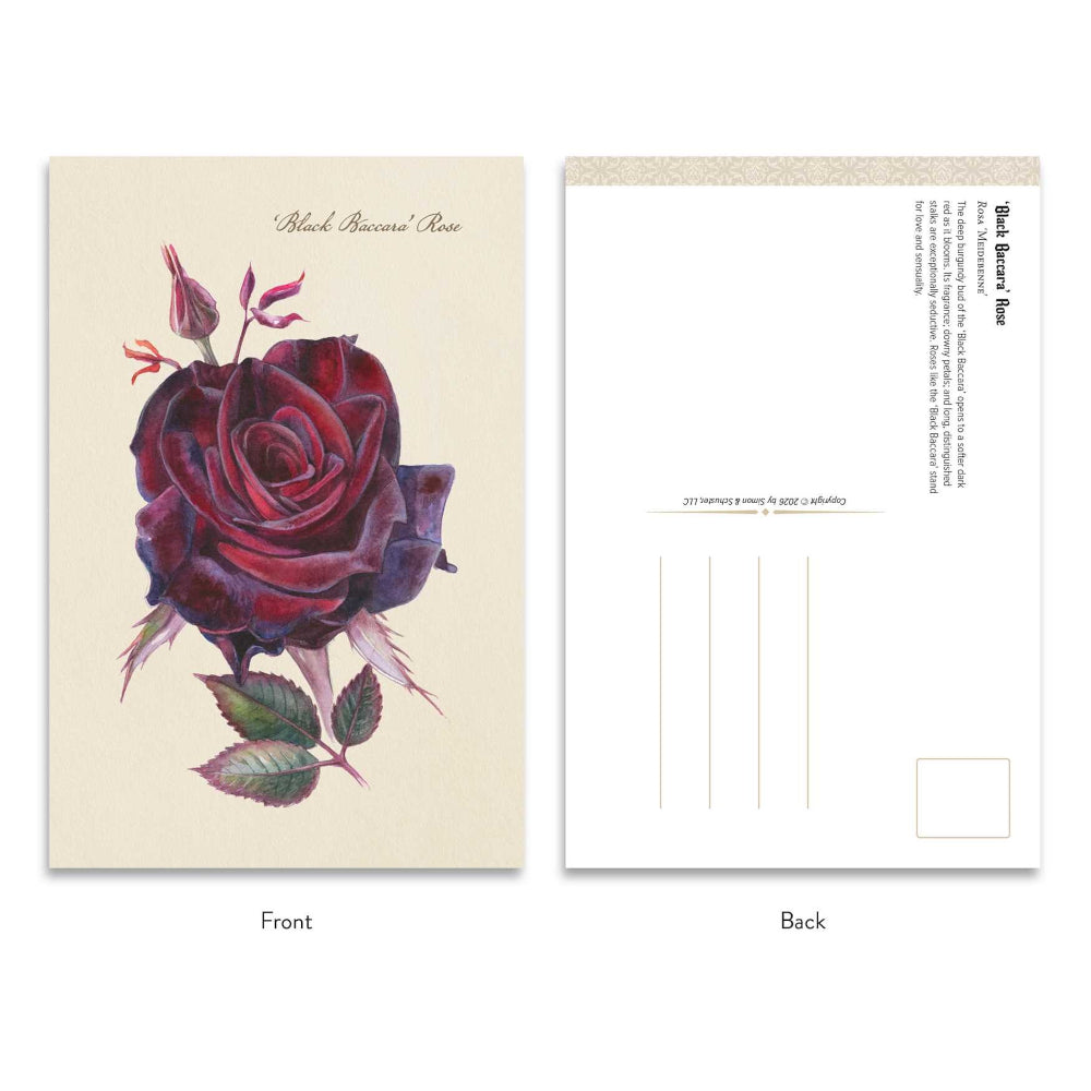 The Goth Garden: Dark Blooms Postcard Set