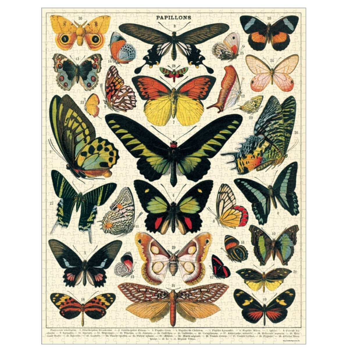 Vintage Butterflies Puzzle
