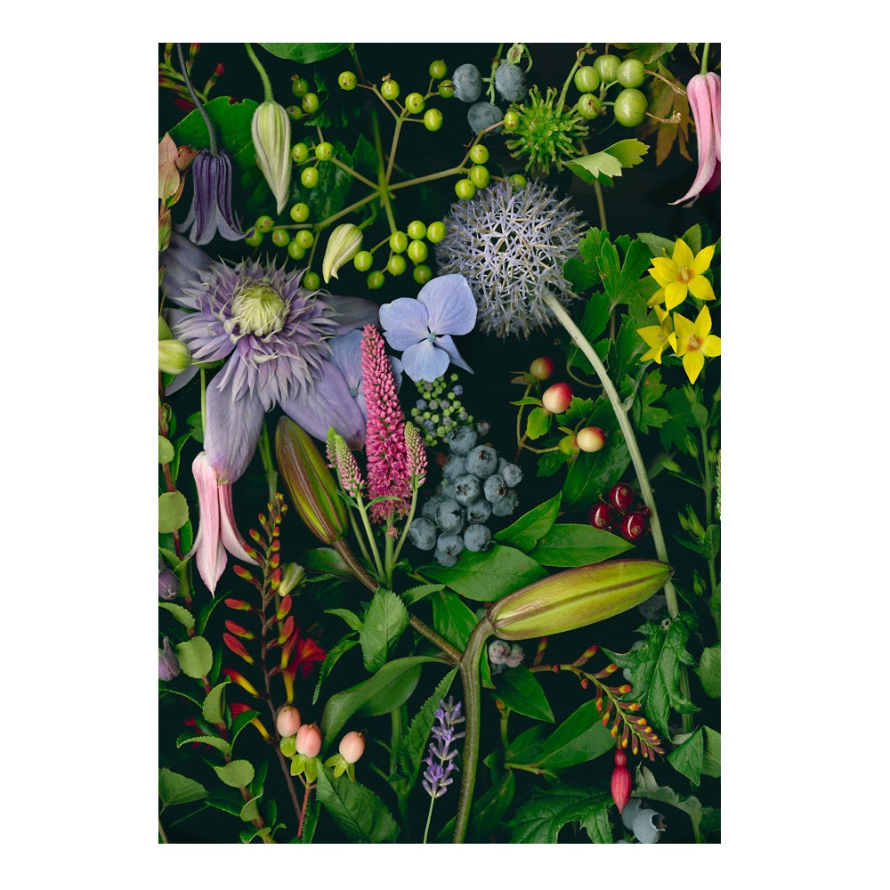 Deb Stoner 'Flora' Boxed Note Cards