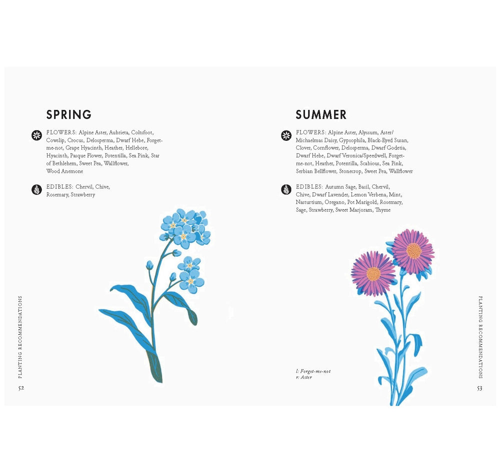 Planting for Honeybees
