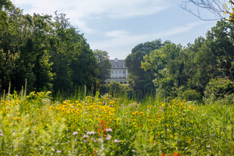 The Wild Birds Unlimited Native Pollinator Meadow