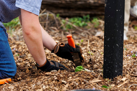 Newfields Recommended Garden Supplies