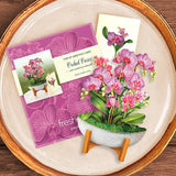 Mini Orchid Oasis Pop-Up Greeting Card