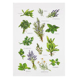 Herb Field Guide Tea Towel