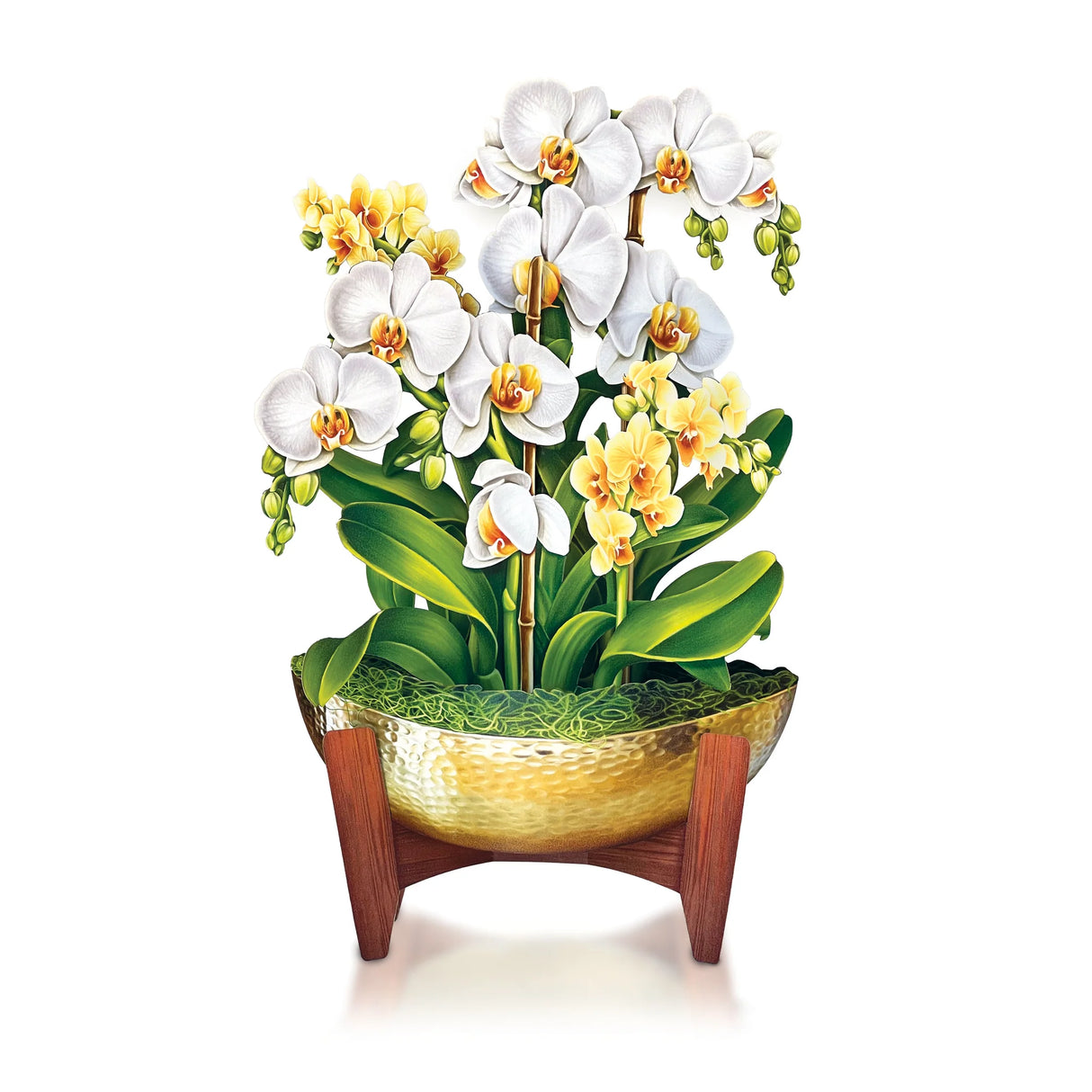 Serenity Orchid Large Pop-Up Greeting Card
