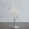 Lighted Birch Tree