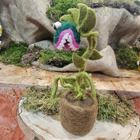 Felted Carnivorous Plant