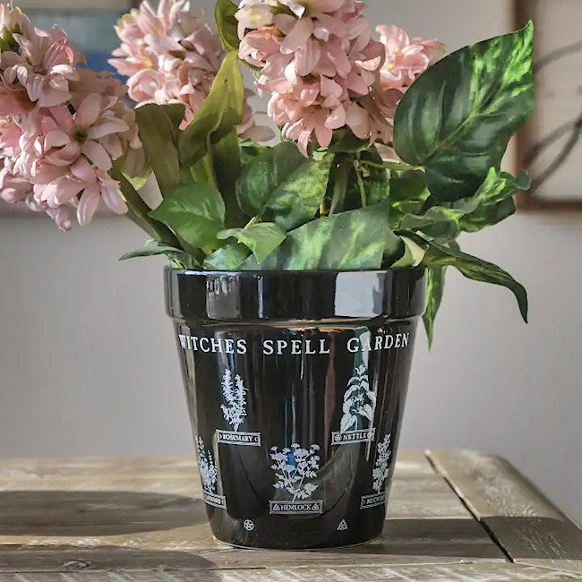 Witch's Spell Garden Planter