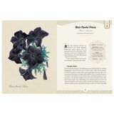The Goth Garden