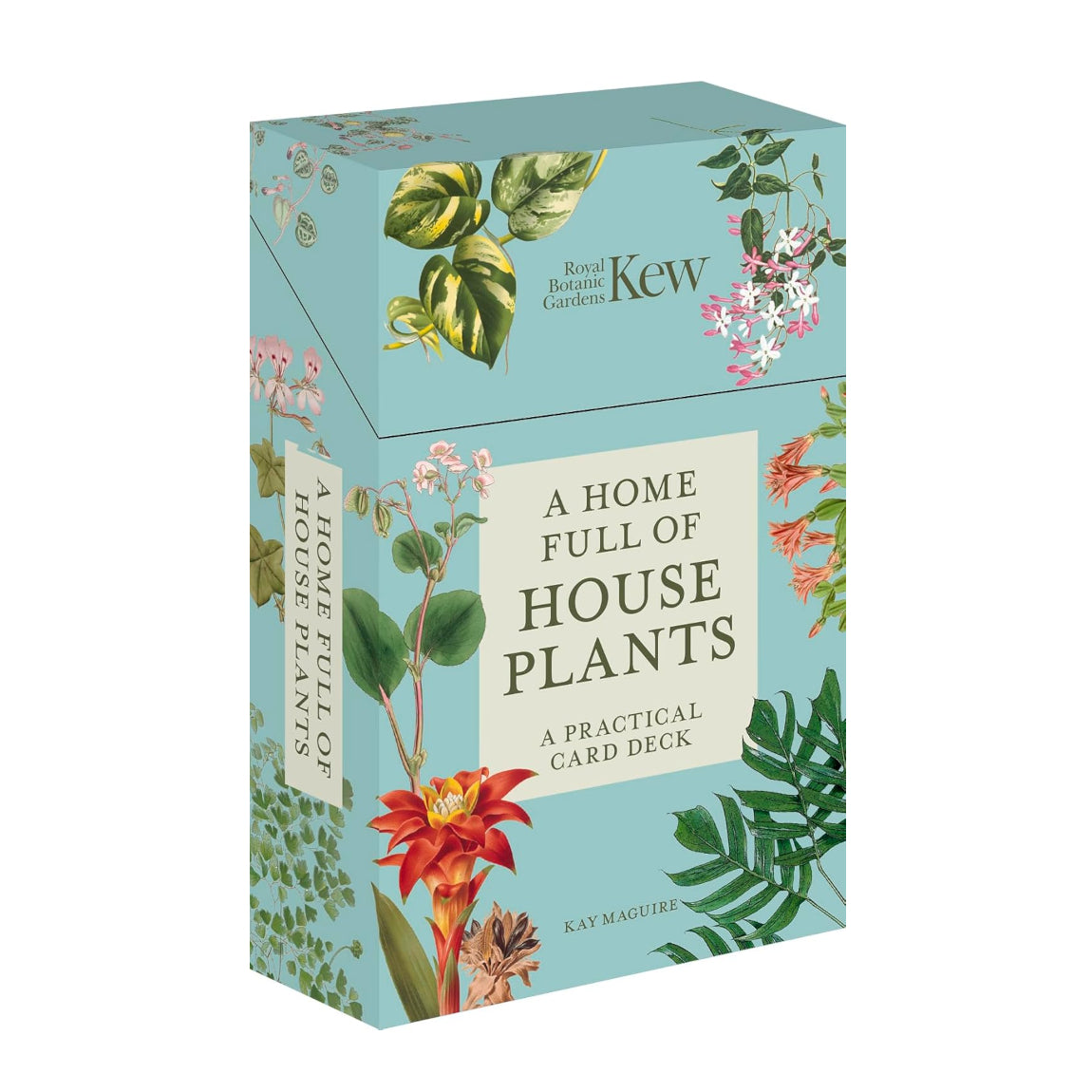 A Home Full of House Plants: A Practical Card Deck