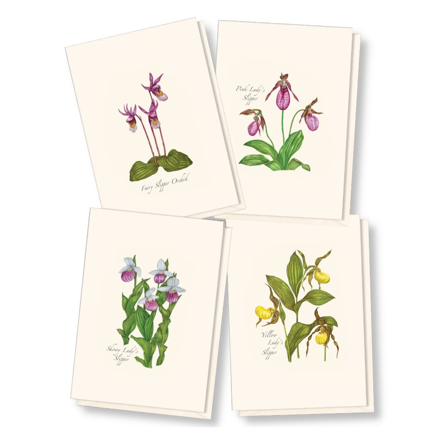 Native Orchids Boxed Notecards