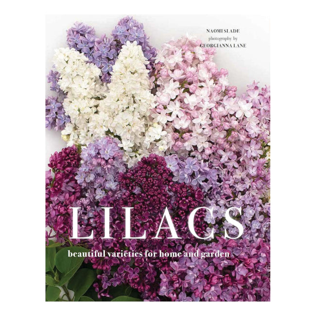 Lilacs: Beautiful Varieties for Home and Garden