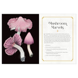 Mystical Mushrooms