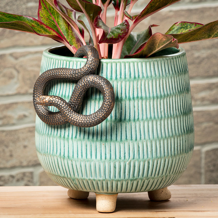 Hanging Snake
