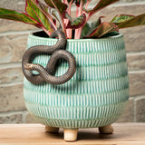 Hanging Snake