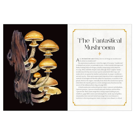 Mystical Mushrooms