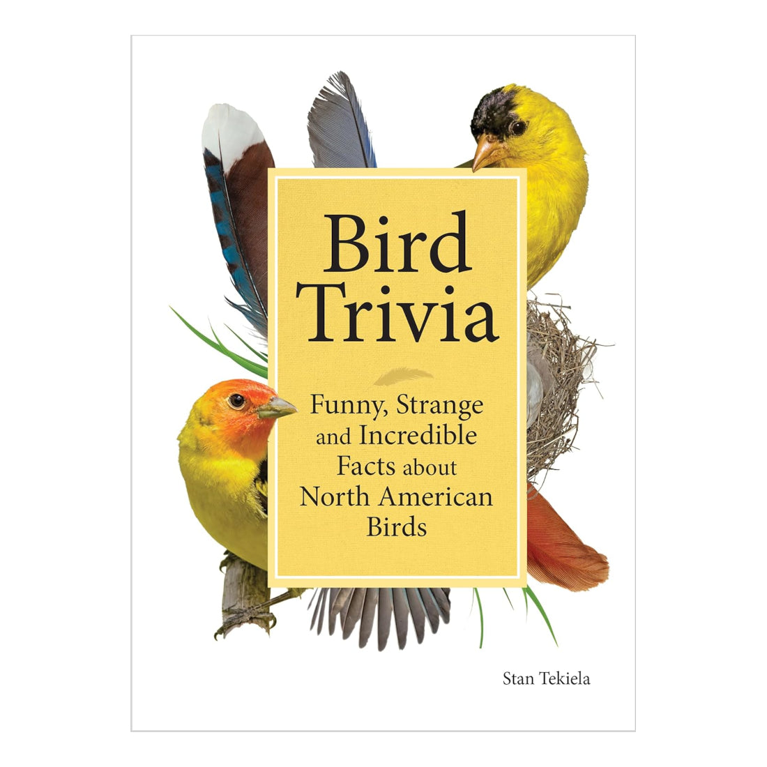 Bird Trivia