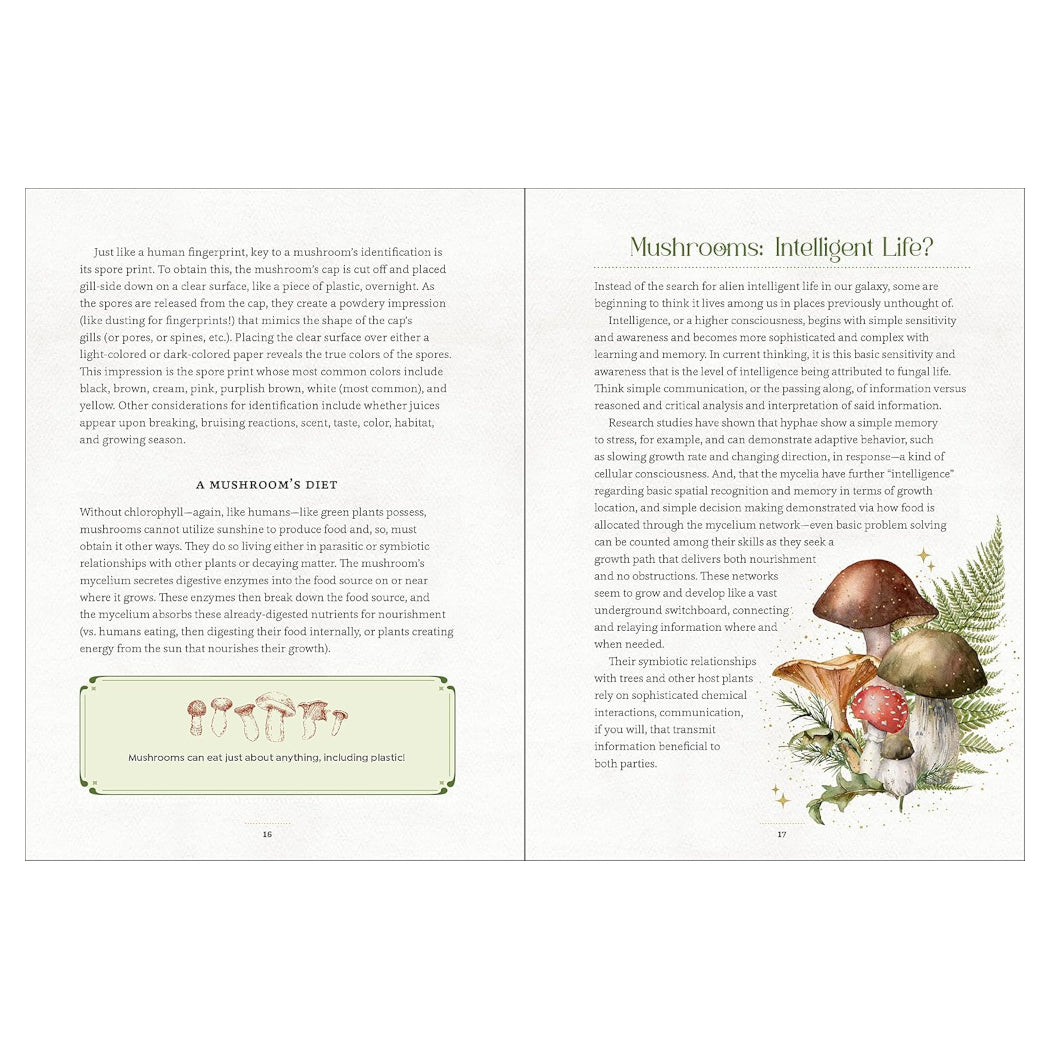 Mystical Mushrooms