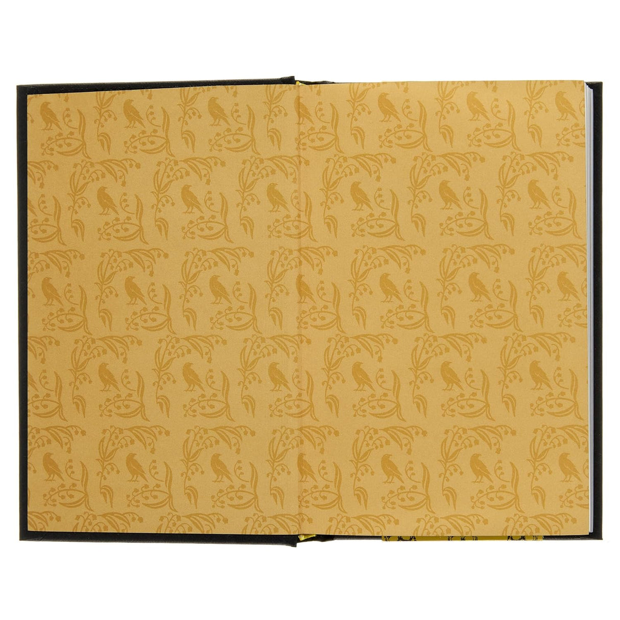 Edgar Allan Poe's Classic Tales of Horror: Gilded Pocket Edition