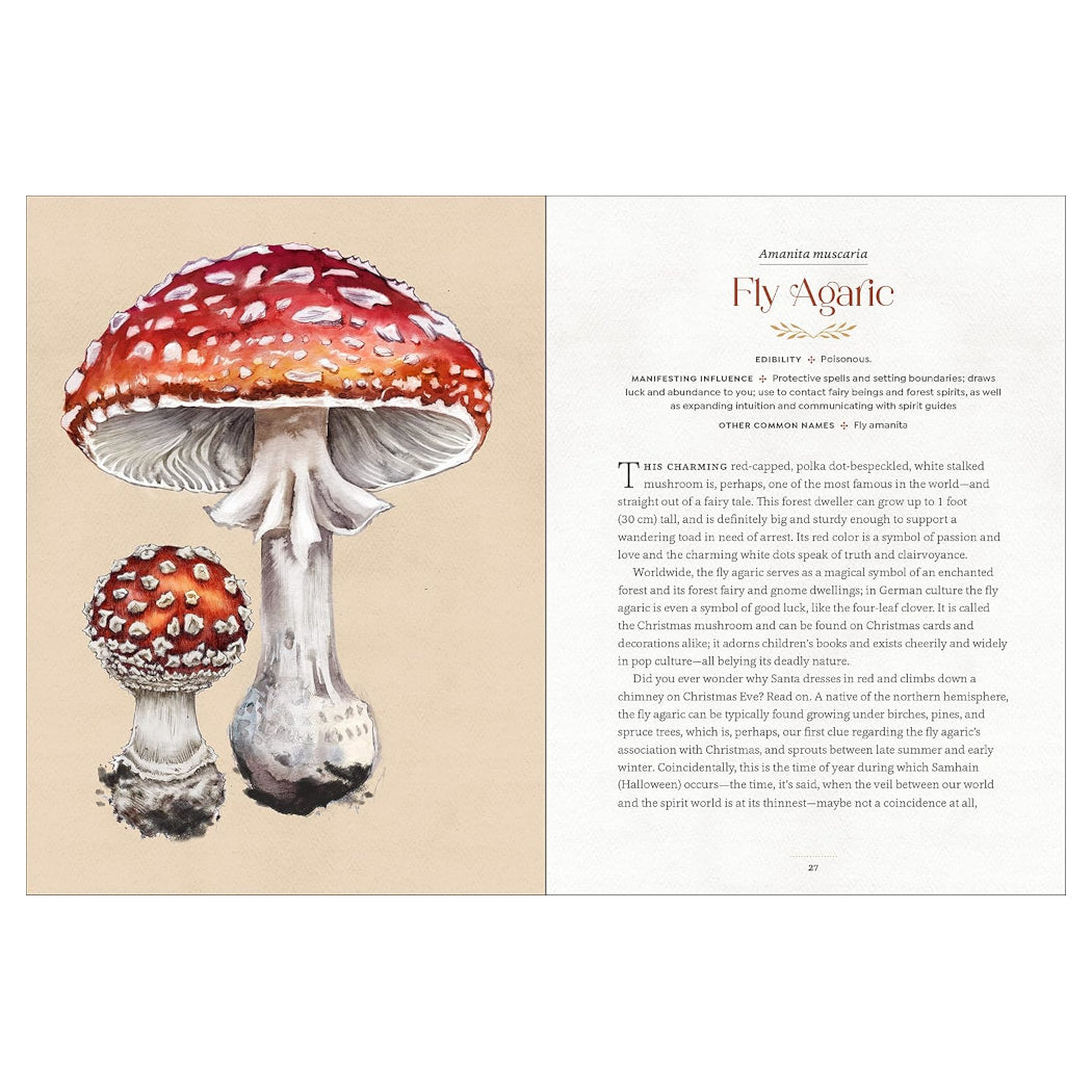 Mystical Mushrooms