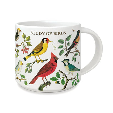 Vintage Study of Birds Mug
