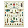 Vintage Bugs & Insects Puzzle