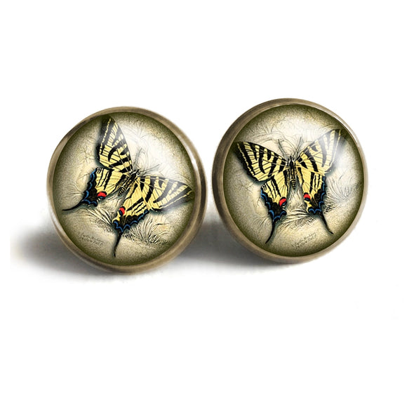 Swallowtail Butterfly Stud Earrings