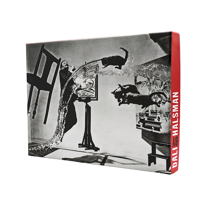 Dalí by Halsman Boxed Notecards