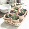 Sustainable Herb Pot and Tray Set (6 Pieces)