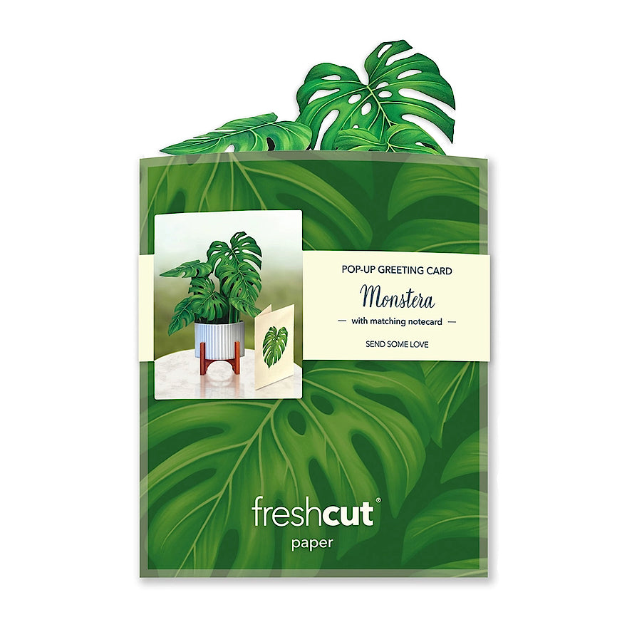 Mini Monstera Pop-Up Greeting Card