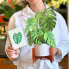 Monstera Large Pop-Up Greeting Card