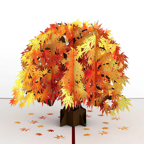 Sugar Maple Pop-Up Card