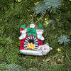 Night Before Christmas Cat Ornament